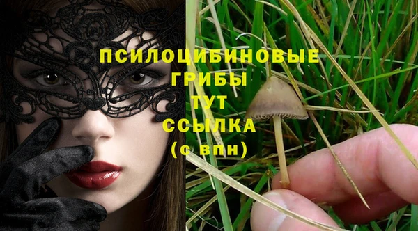 кокс Алзамай