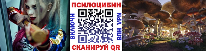 Галлюциногенные грибы Cubensis закладка нарко площадка как зайти Домодедово